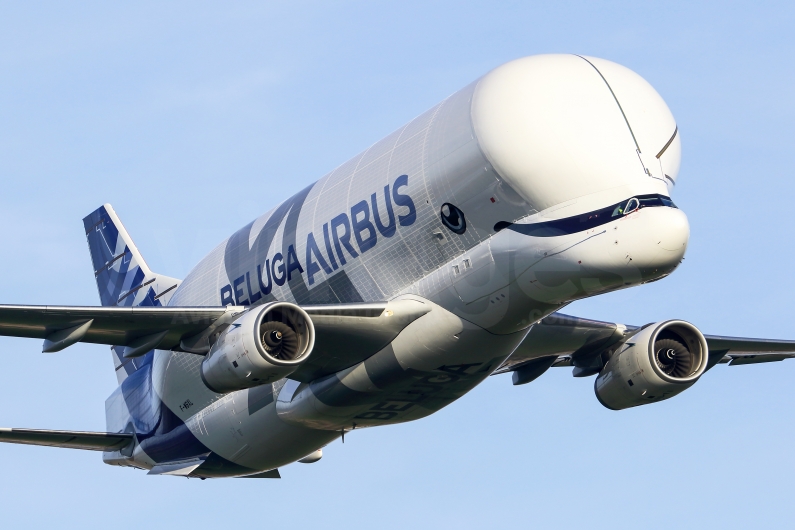 Airbus Transport International Airbus A330-743L Beluga XL F-GXLG