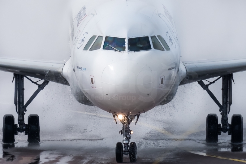 Air France Airbus A319-111 F-GRHY