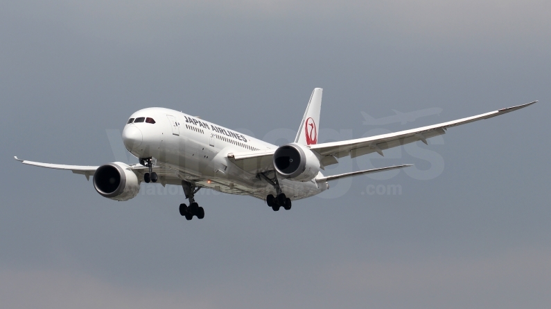 Japan Airlines Boeing 787-8 Dreamliner JA828J