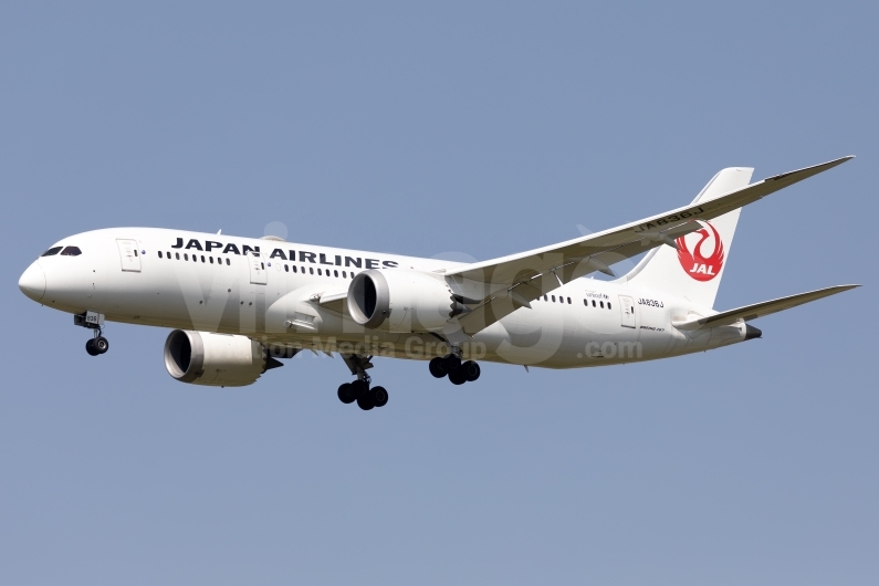 Japan Airlines Boeing 787-8 Dreamliner JA836J