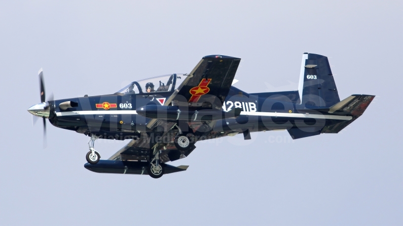 Vietnam People's Air Force Raytheon T-6C Texan II N2811B / 603